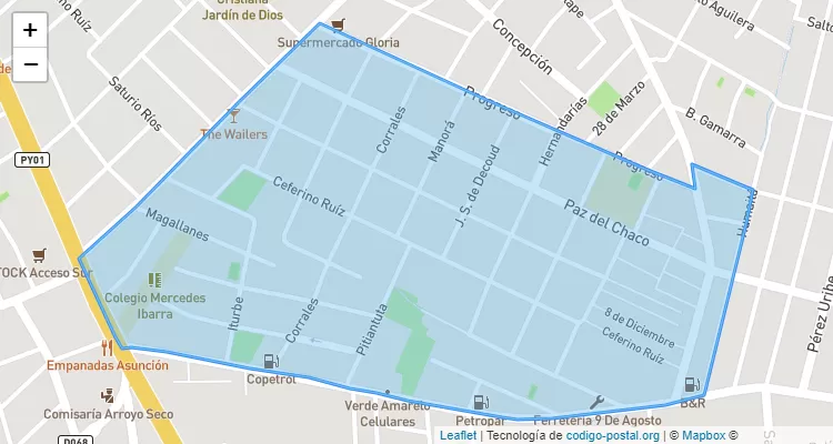 CEP 110333 - Paraguai